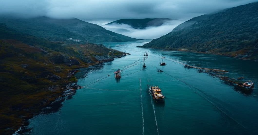 Los fiordos ya no son los mismos: cómo el cambio en las condiciones oceanográficas reescribe las reglas para la acuicultura austral