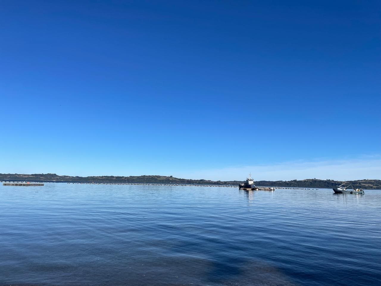 Venta, Compra y Arriendo de Concesiones Acuícolas