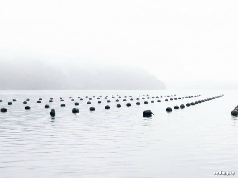 ¿Tu cultivo califica como APE?