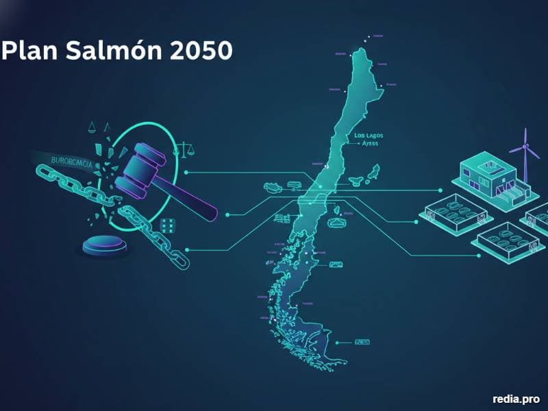 Kast prioriza Plan Salmón 2050 y proyecta reforma a Ley Lafkenche: Impacto en la Macrozona Sur