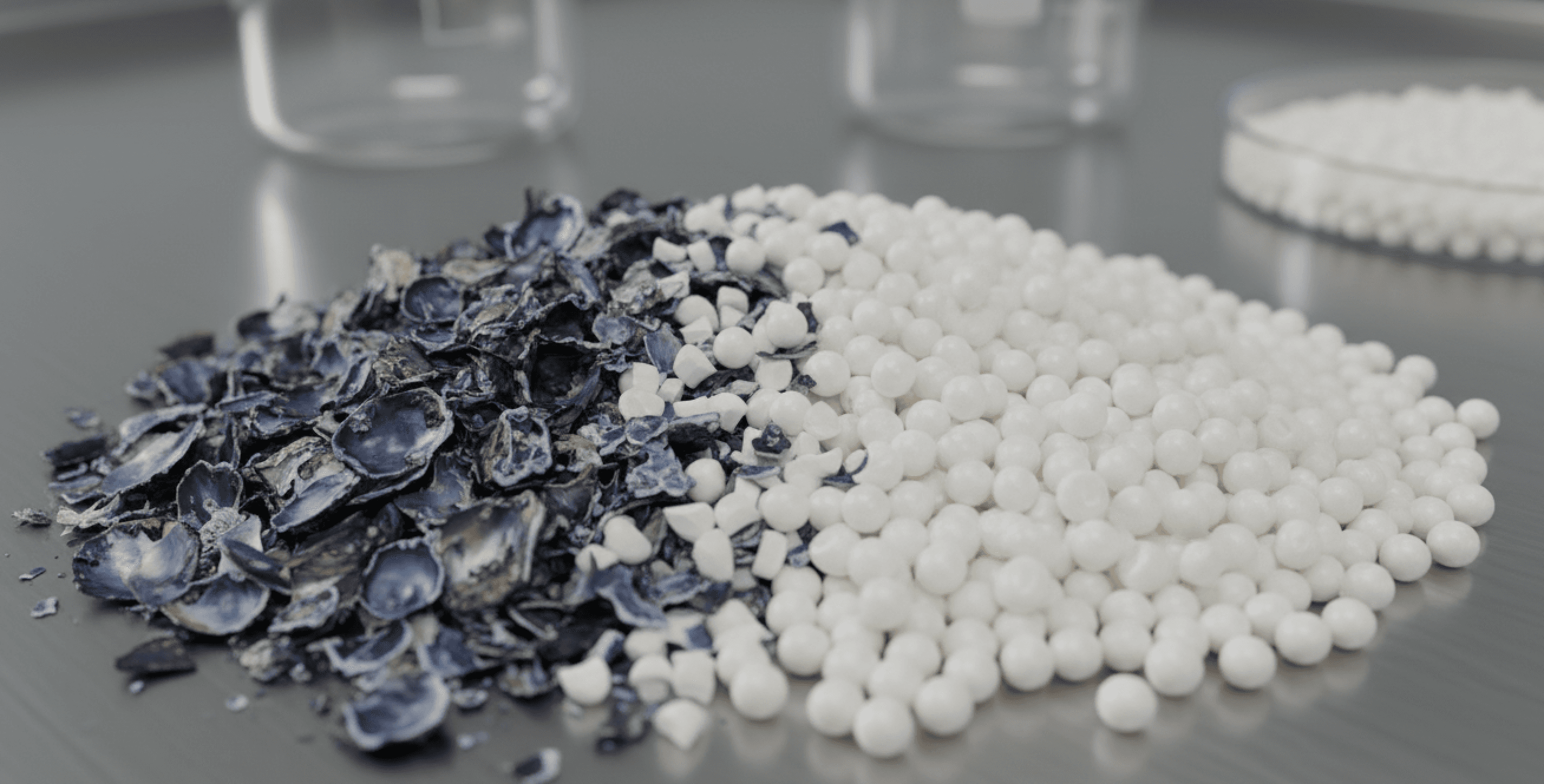 Biopolímeros de Concha de Chorito: Innovación en Mitilicultura