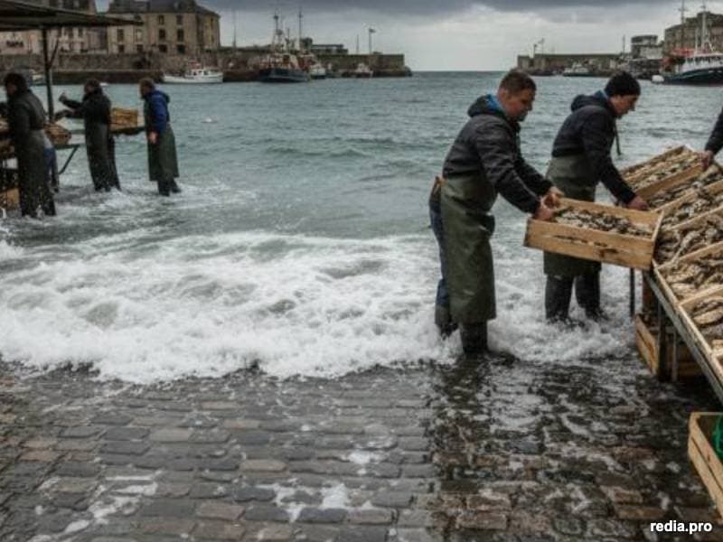 Las Exportaciones Globales de Ostras Rozarán los 45 Millones de Kilos en 2026