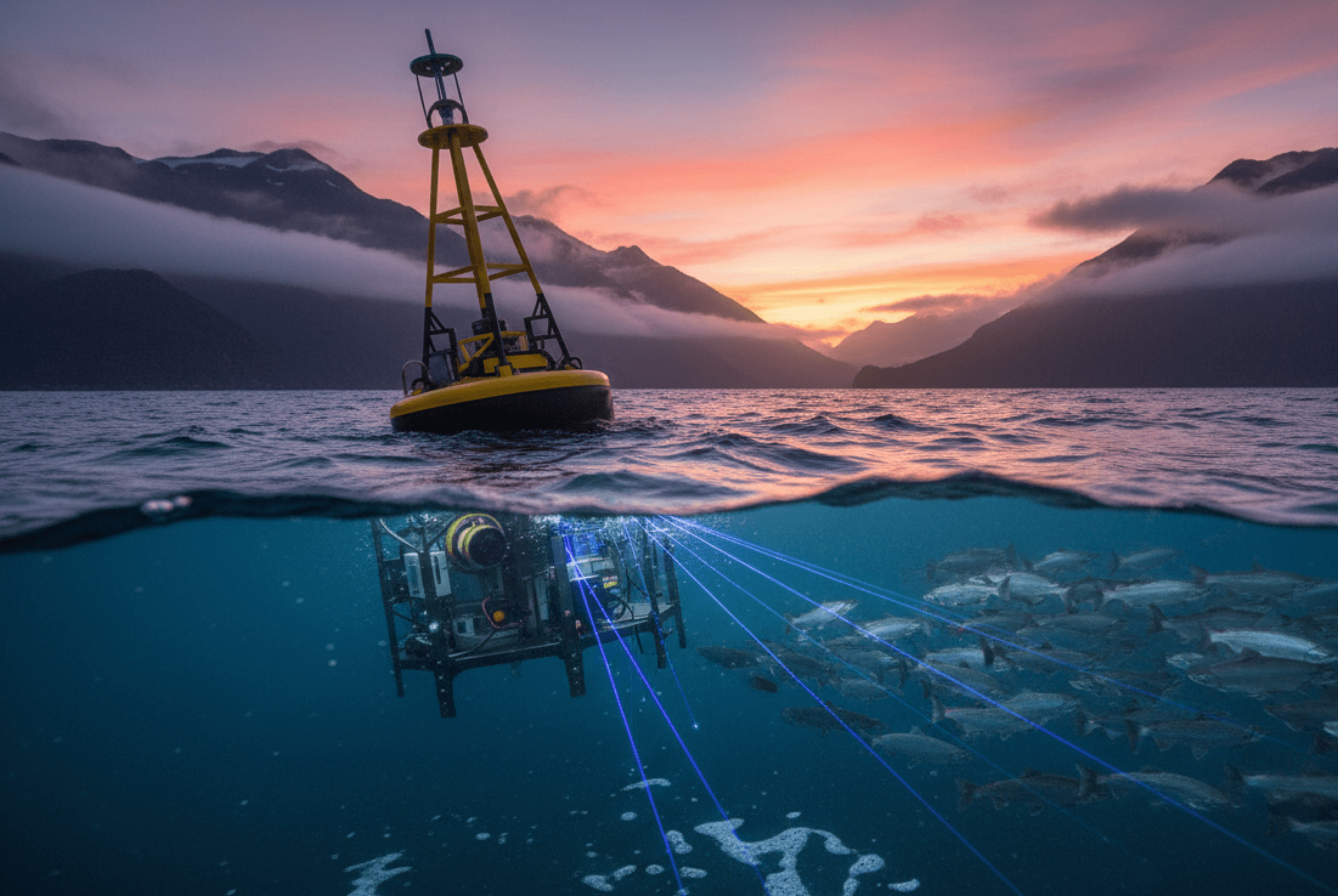 Tecnología Predictiva: El Nuevo Estándar contra las FAN