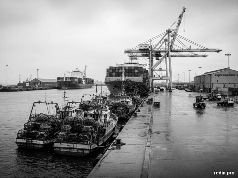 Brechas de infraestructura portuaria en Los Lagos erosionan márgenes de la mitilicultura chilena