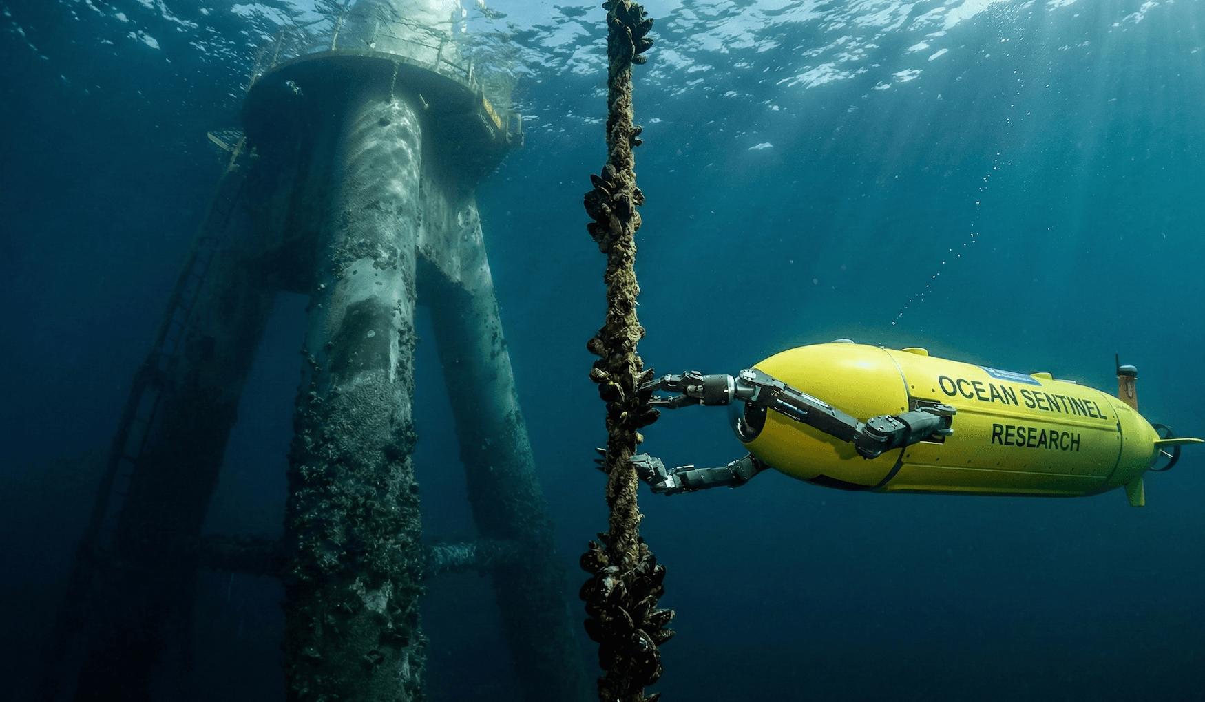 Robots 'Campesinos' del Mar: Automatización y Seguridad en Zonas Expuestas