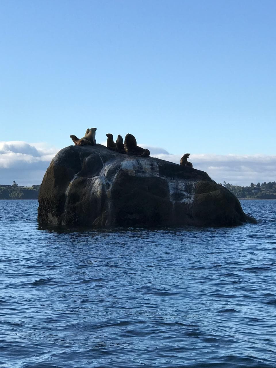 Restricciones MMPA EE.UU. 2026: Barreras de Importación y Hallazgo de Comparabilidad