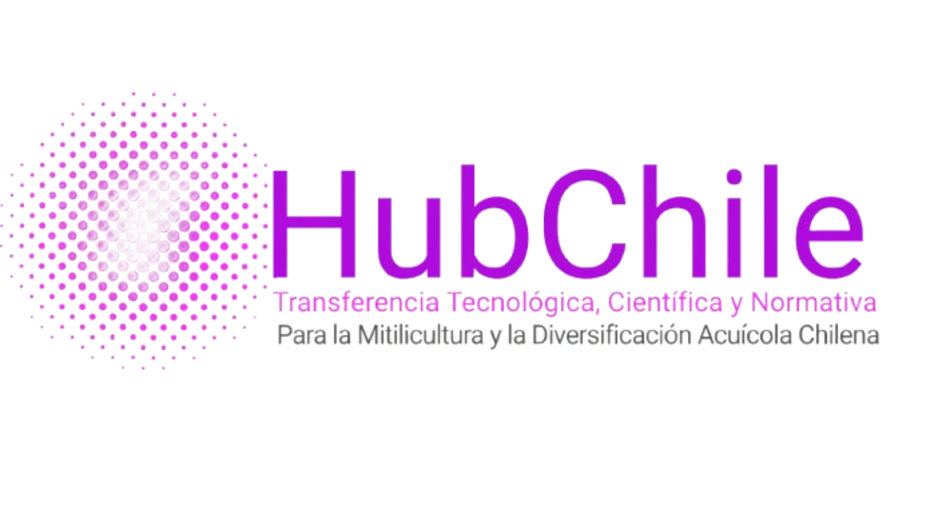 Hub Chile